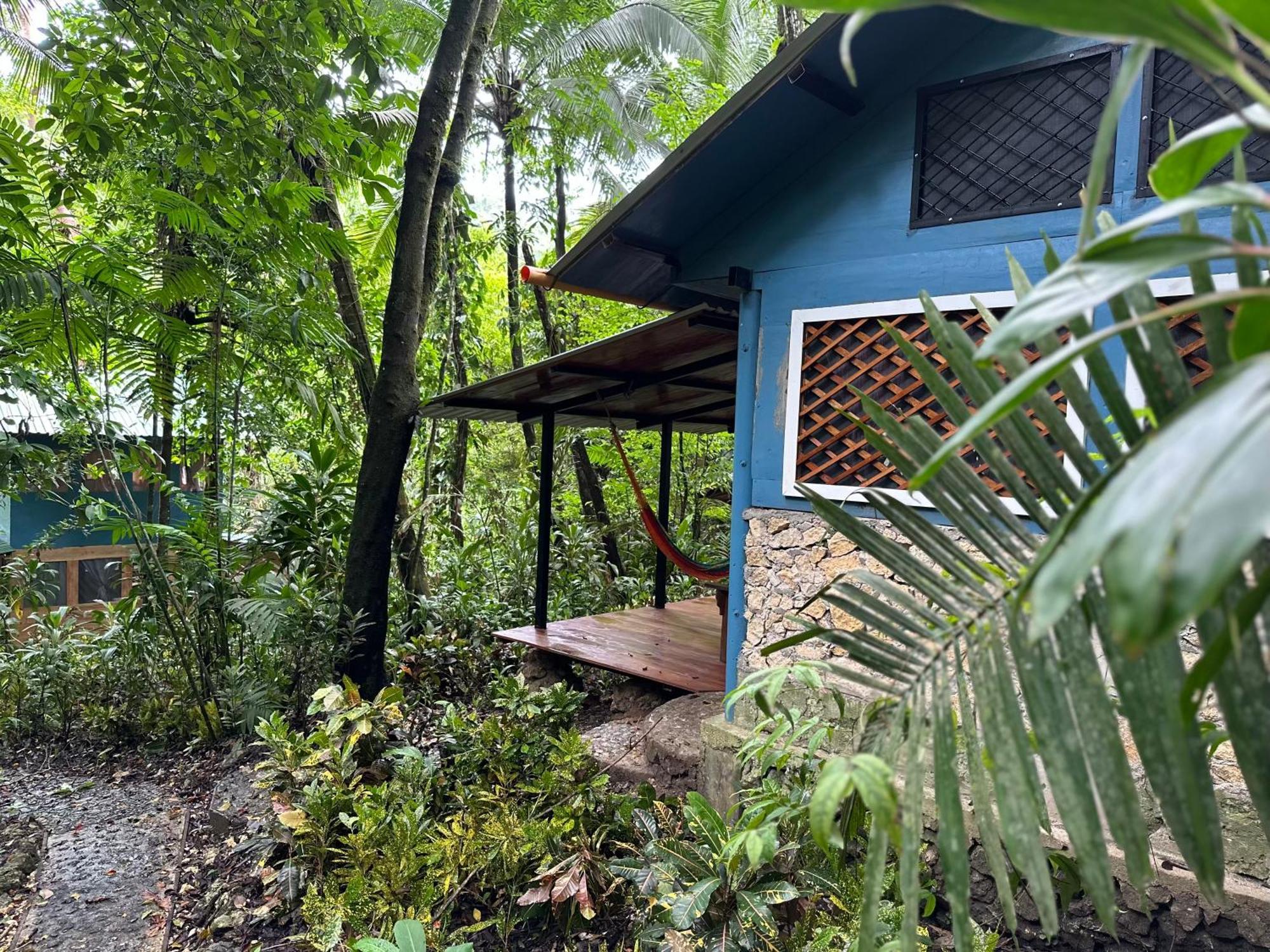 Finca Tatin Hotel Izabal エクステリア 写真