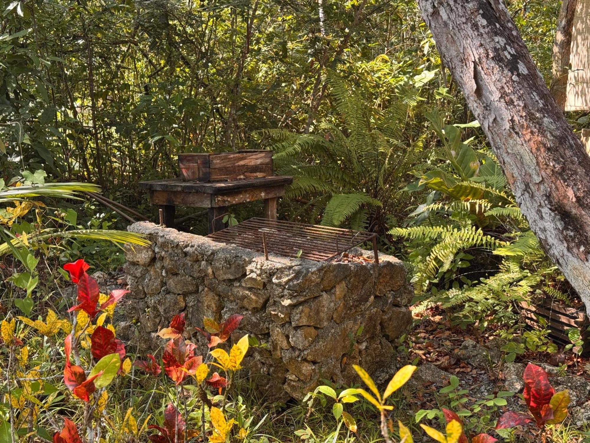 Finca Tatin Hotel Izabal エクステリア 写真