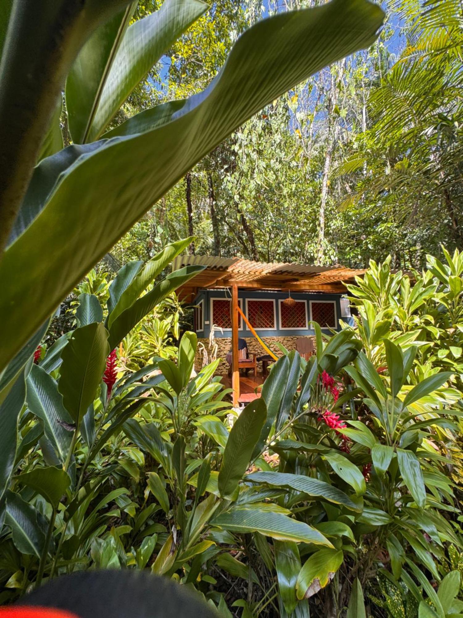 Finca Tatin Hotel Izabal エクステリア 写真