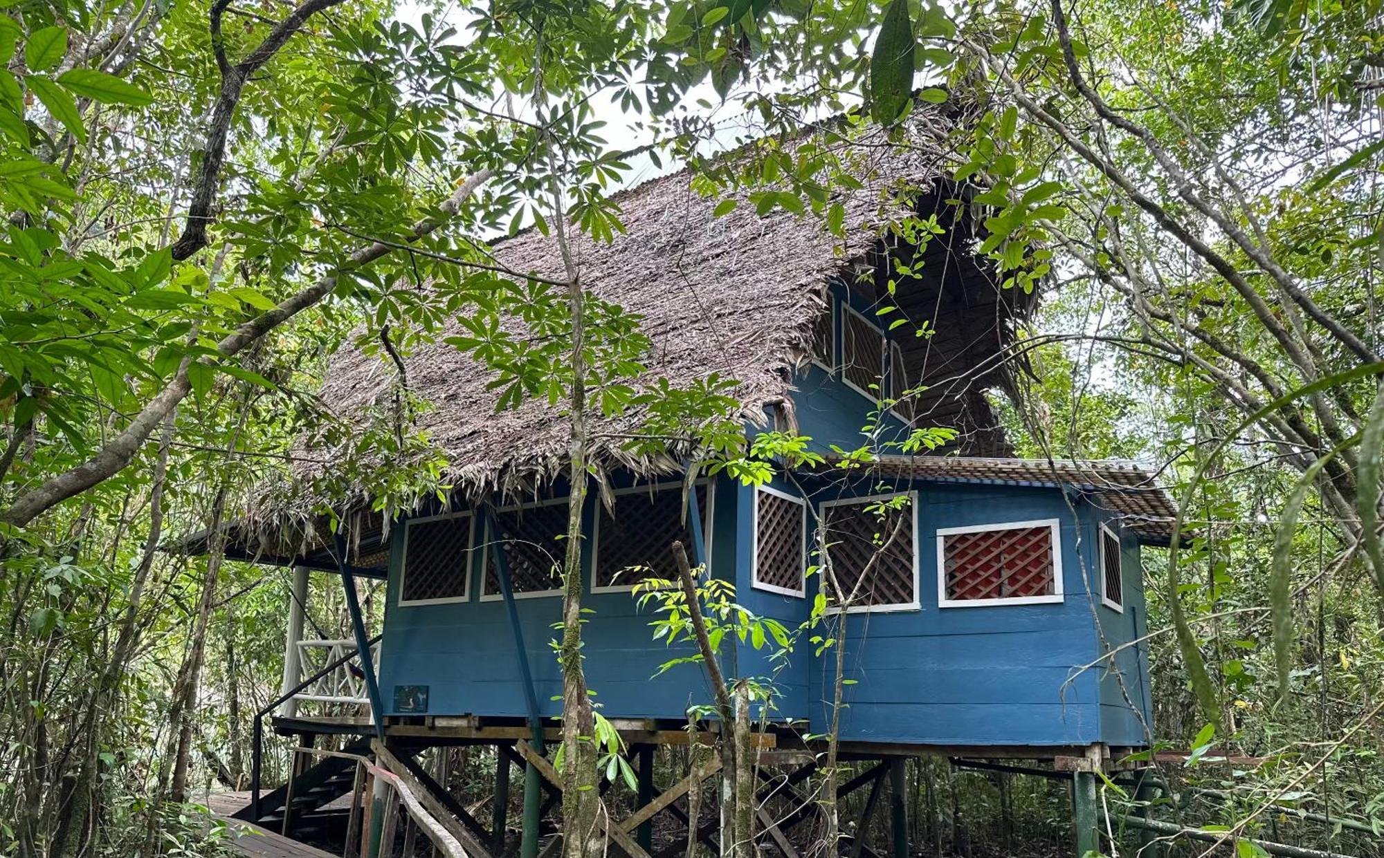 Finca Tatin Hotel Izabal エクステリア 写真