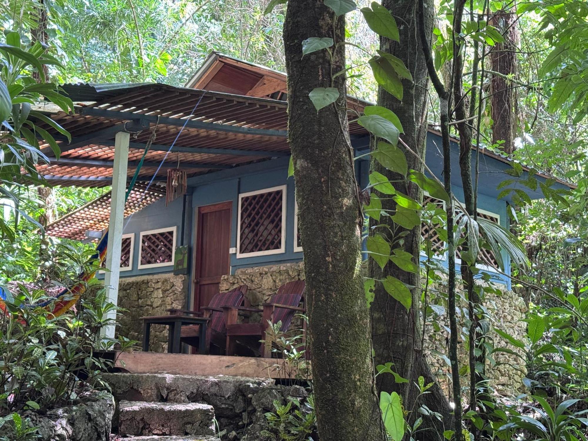 Finca Tatin Hotel Izabal エクステリア 写真